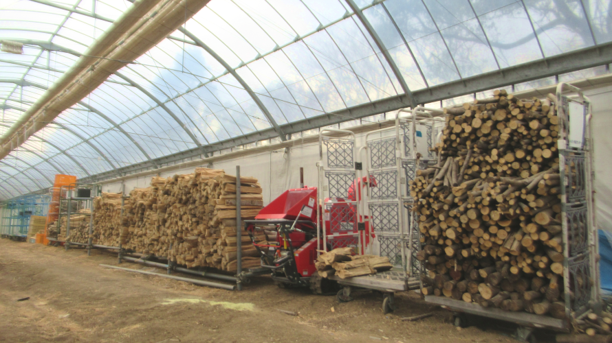 空き家・農地・山林の管理作業の様子